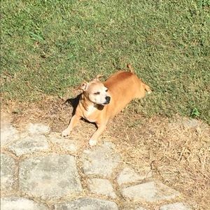 Meet your Posher, Karla